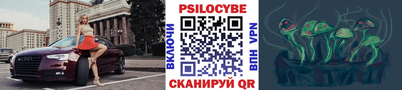 Псилоцибиновые грибы мицелий  дарк нет как зайти  Чита 