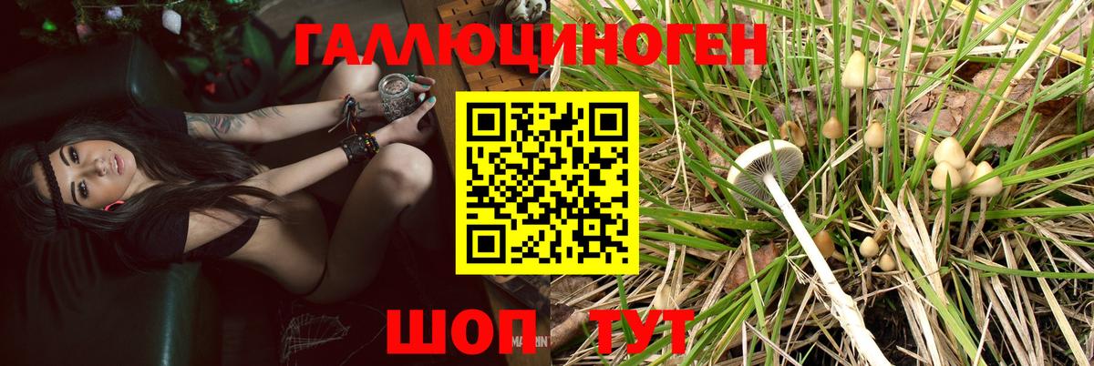 Галлюциногенные грибы мухоморы Чита