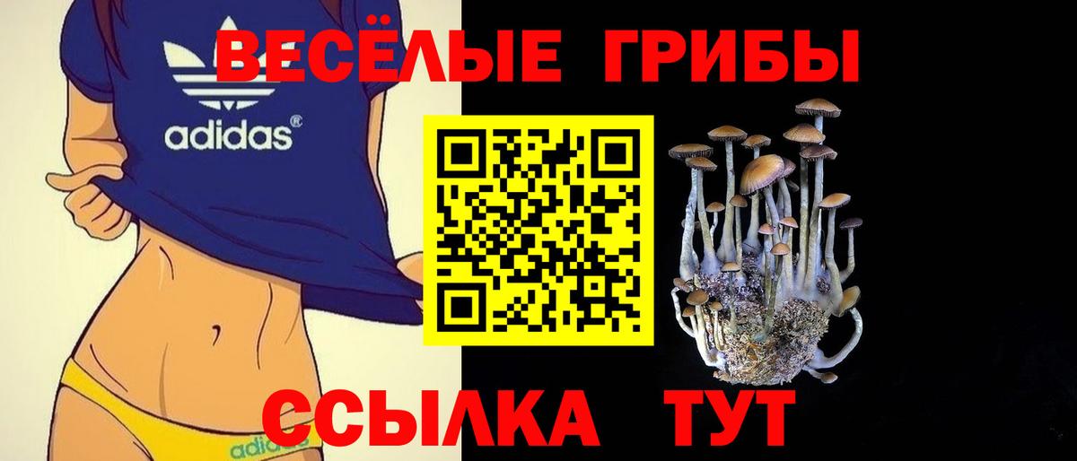 Чита  Галлюциногенные грибы Cubensis  Вход с VPN  сколько стоит  Псилоцибиновые грибы Magic Shrooms 